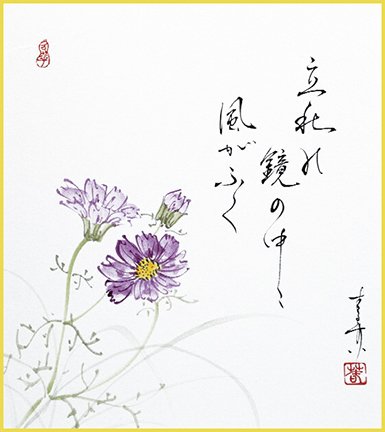 photo27.jpg