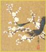 photo_small.jpg