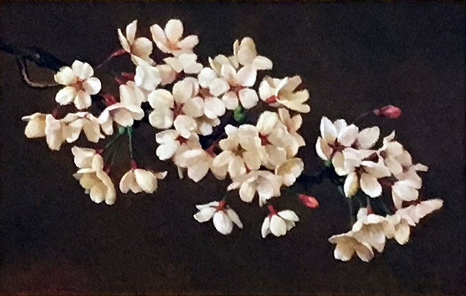 photo7.jpg