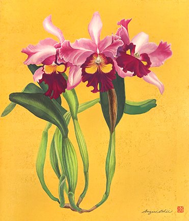 photo23.jpg
