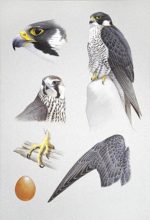 photo20.jpg
