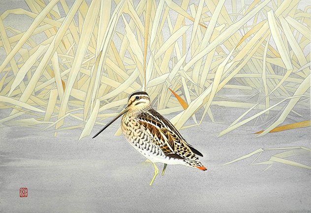 photo23.jpg