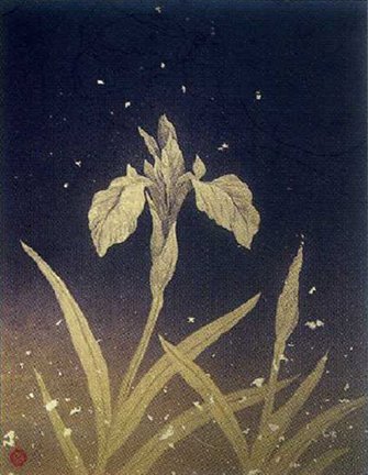 photo3.jpg