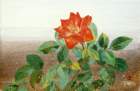 photo9_small.jpg