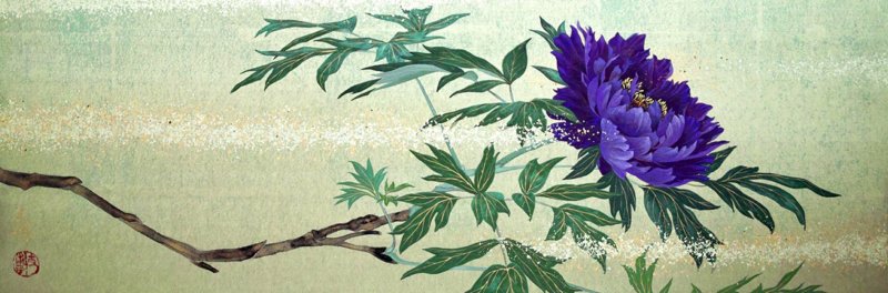 photo25.jpg