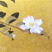 photo7_small.jpg