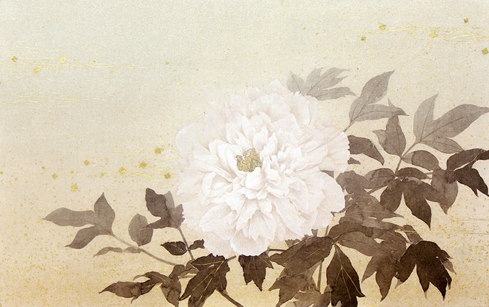 photo11.jpg