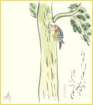 photo9_small.jpg