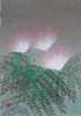 photo16_small.jpg