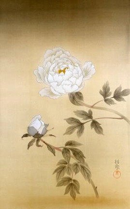 photo26.jpg