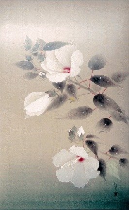 photo83.jpg