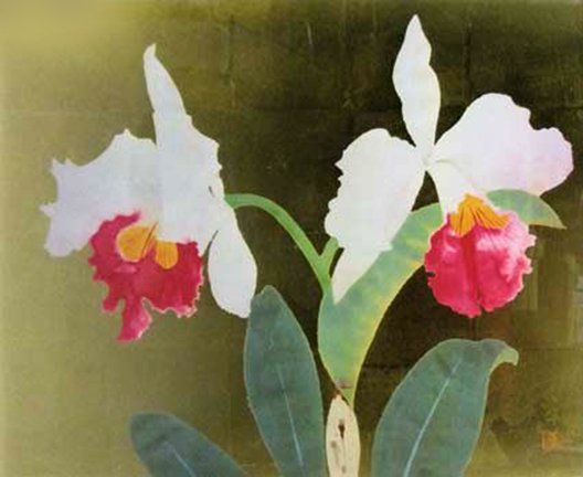 photo10.jpg