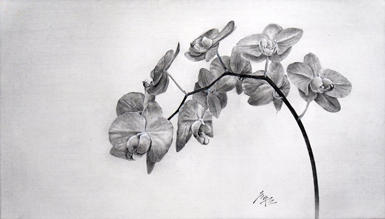 photo14.jpg