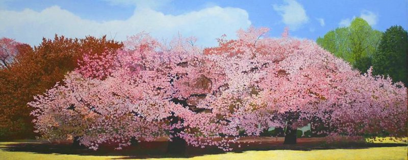 photo11.jpg