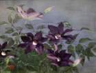 photo20_small.jpg
