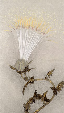 photo53.jpg