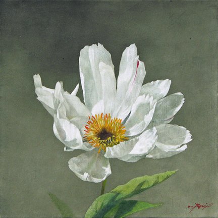 photo15.jpg