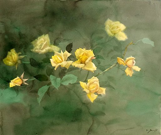 photo24.jpg