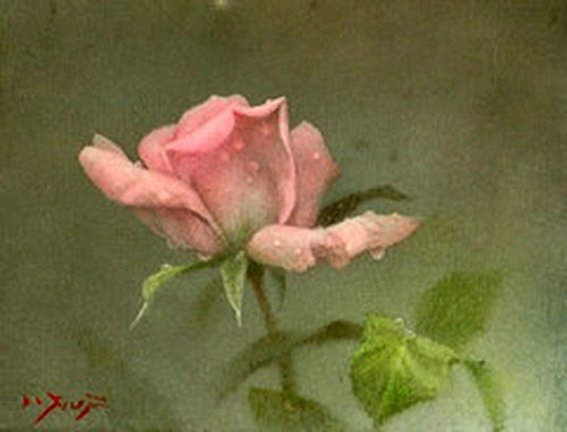 photo28.jpg