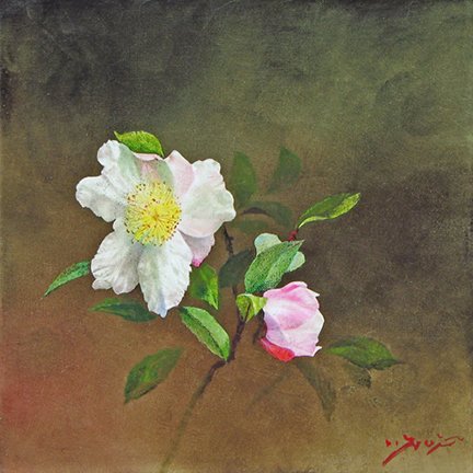 photo42.jpg