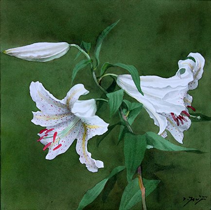 photo8.jpg