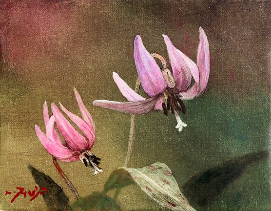 photo6.jpg