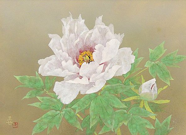 photo4.jpg