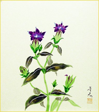 photo23.jpg