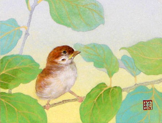 photo38.jpg
