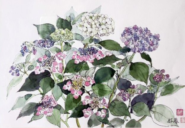 photo13.jpg