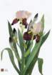 photo20_small.jpg