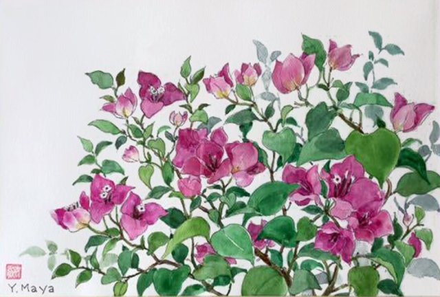 photo22.jpg