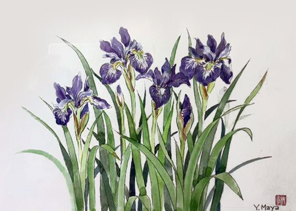 photo26.jpg
