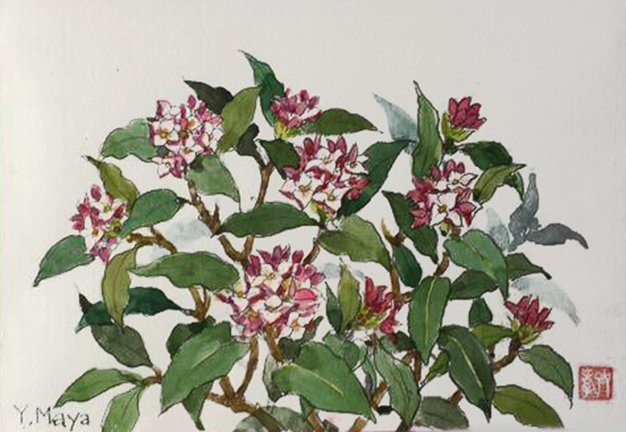 photo30.jpg