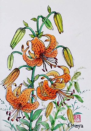 photo33.jpg