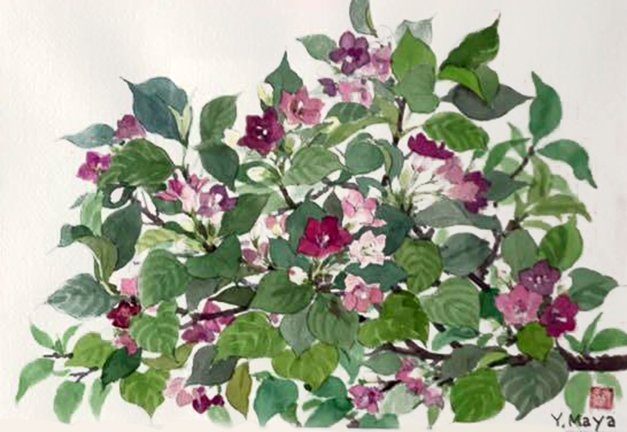 photo37.jpg