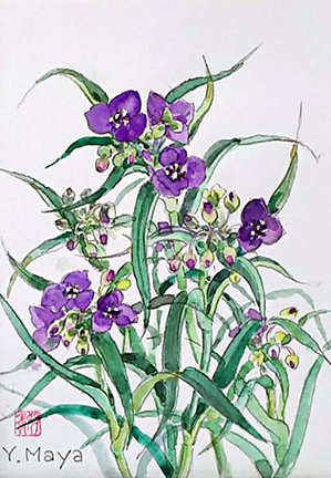 photo8.jpg