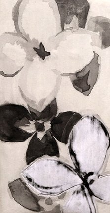 photo7.jpg