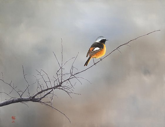 photo13.jpg