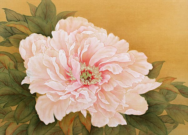 photo20.jpg