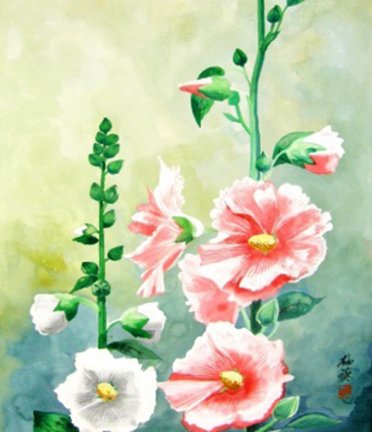 photo8.jpg