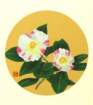 photo3_small.jpg