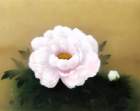 photo4_small.jpg