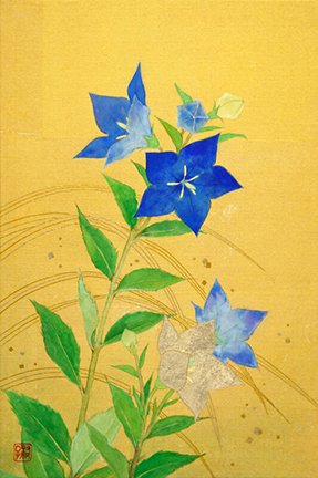 photo23.jpg