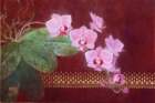 photo70_small.jpg