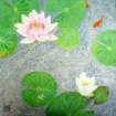 photo79_small.jpg