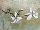 photo6_small.jpg