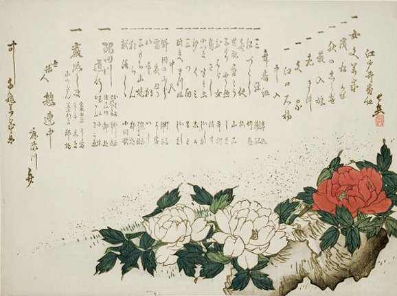 photo40.jpg