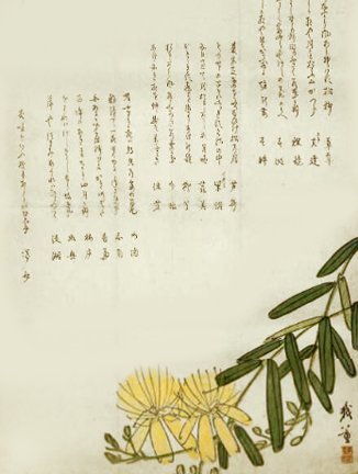 photo13.jpg