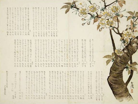 photo16.jpg